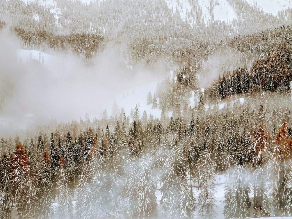 Avalanche retests a $12 mid-December resistance: Can the bulls prevail?