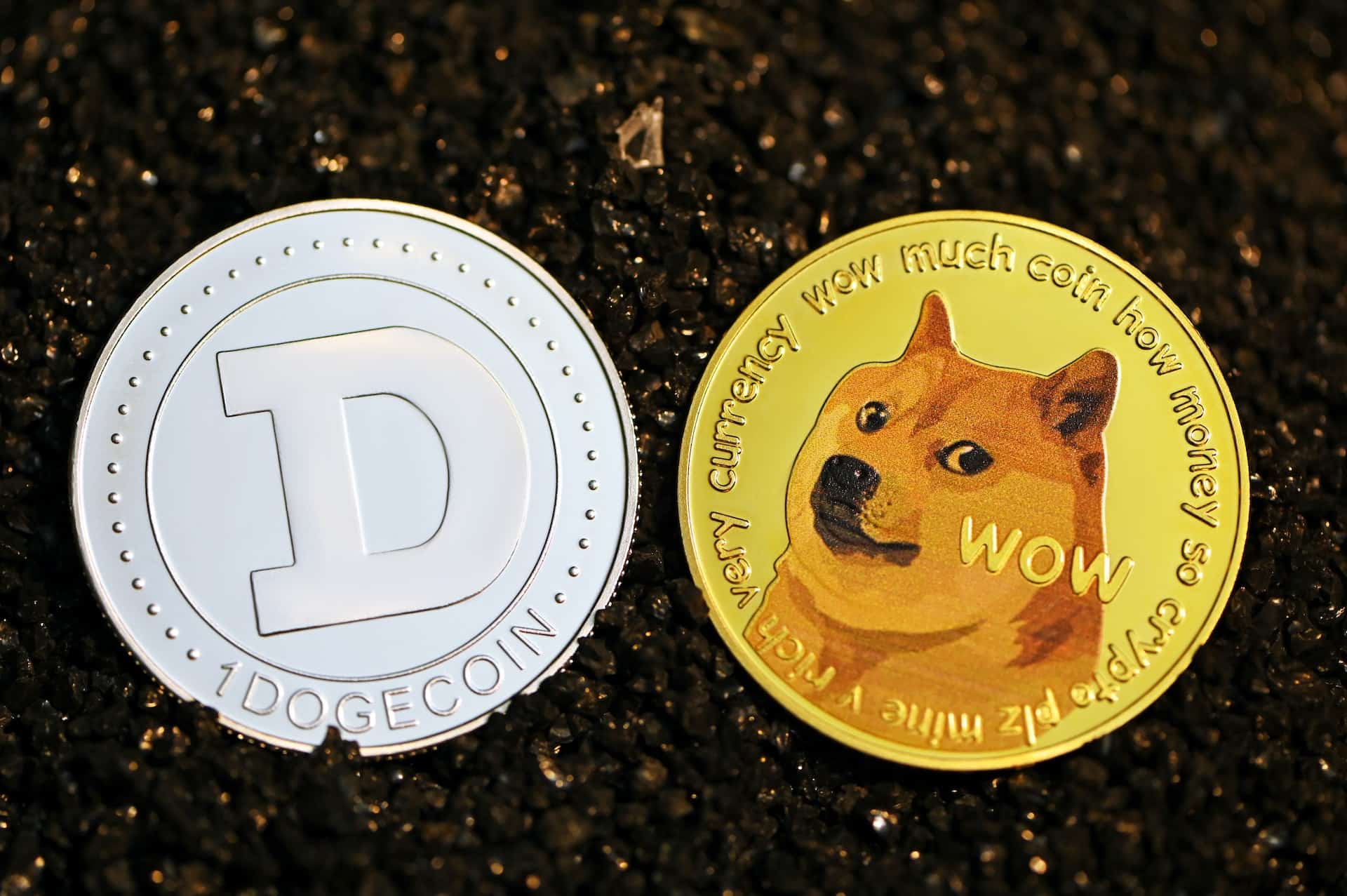  How will DOGE fare without Elon Musk