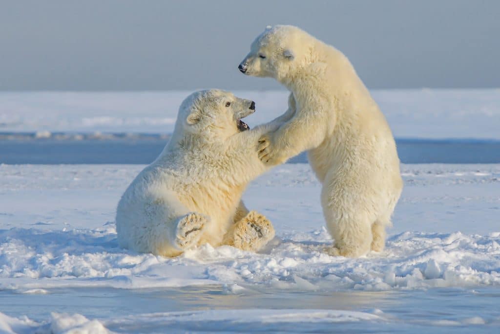 FTM bears gain leverage after a rejection of $0.3462, is it right time to sell