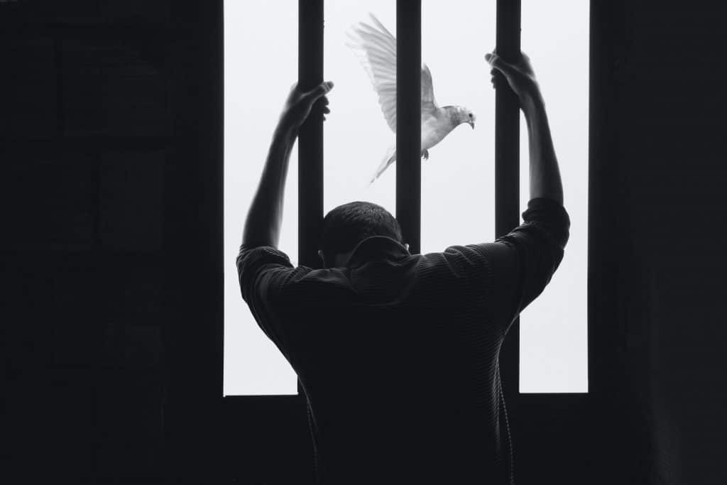 Coinbase: Man sentenced to prison over first crypto insider trading case