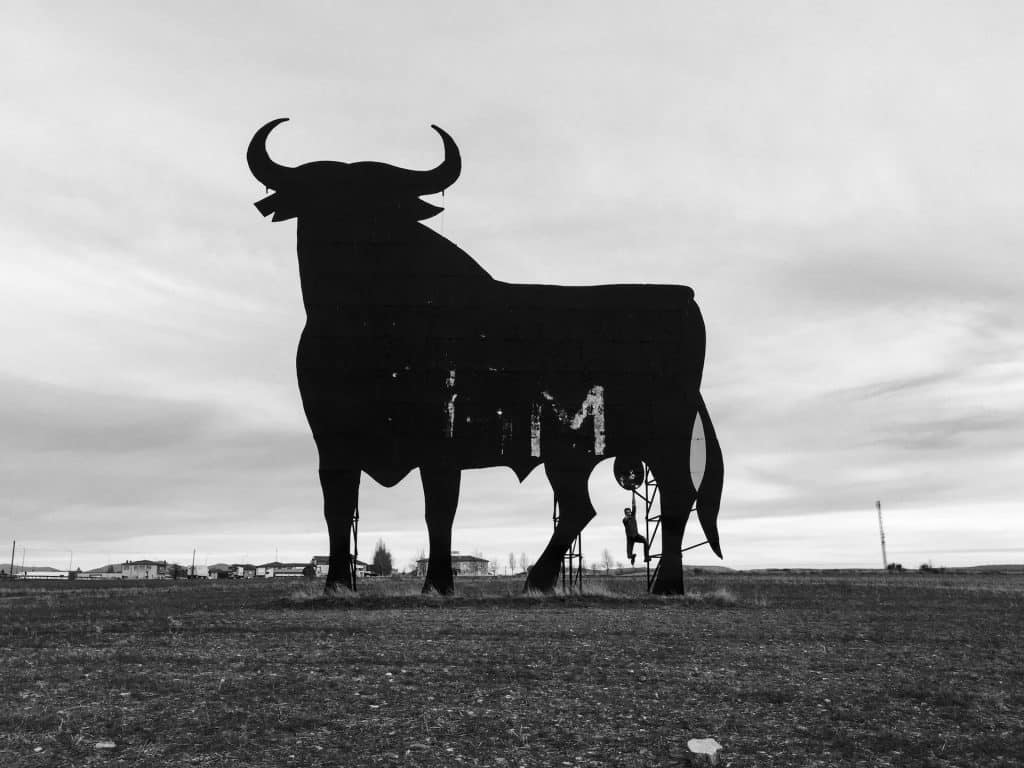 Cardano reclaims top spot on Github- ADA's journey to moon guaranteed?