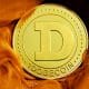 Going long on Dogecoin [DOGE]? Here’s what you need to know