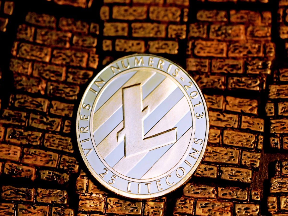 Assessing why LTC whales stood on thin ice despite Litecoin’s 2022 performance