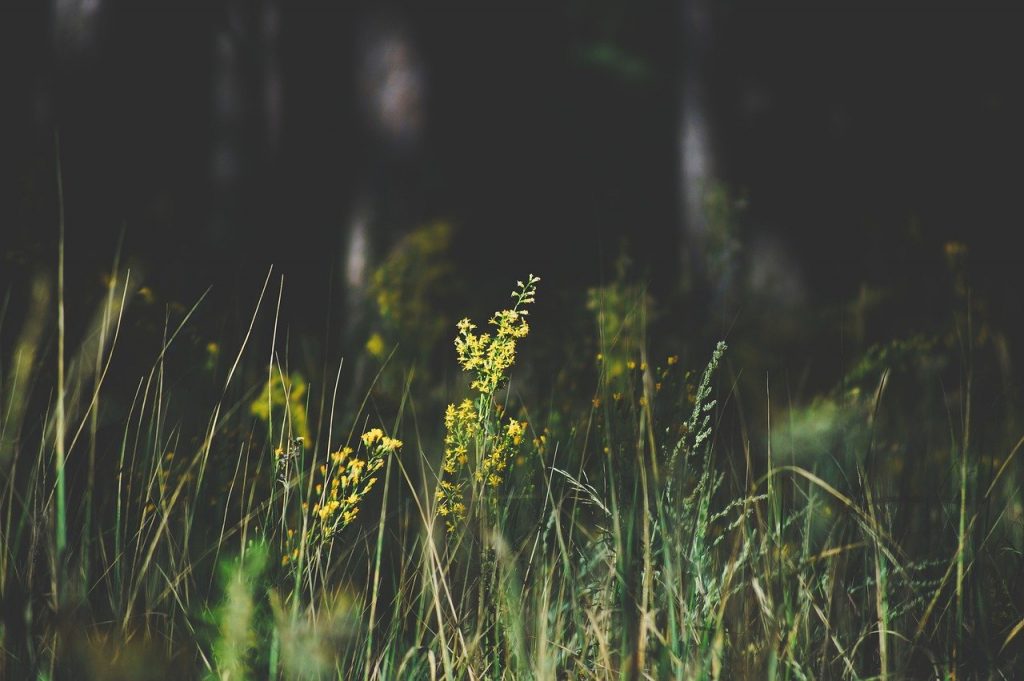 Polkadot bulls fail to hold on to $6.92 as support, what can come next?