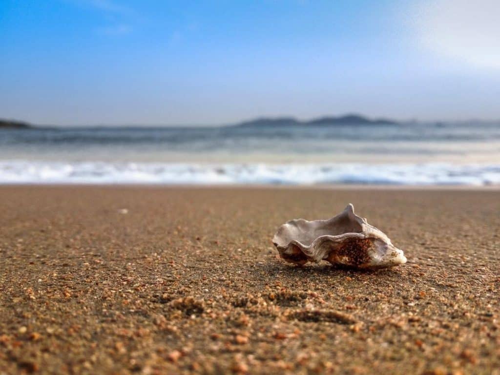 The Sandbox [SAND]: Will bearish history repeat itself with new unlock?