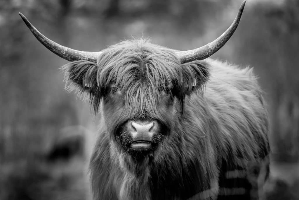 Binance Coin [BNB] bulls harbor hope despite losses: Here's why