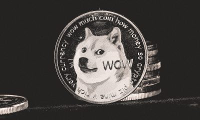 Dogecoin [DOGE] to rise beyond 40%? Whale activity may spur rally