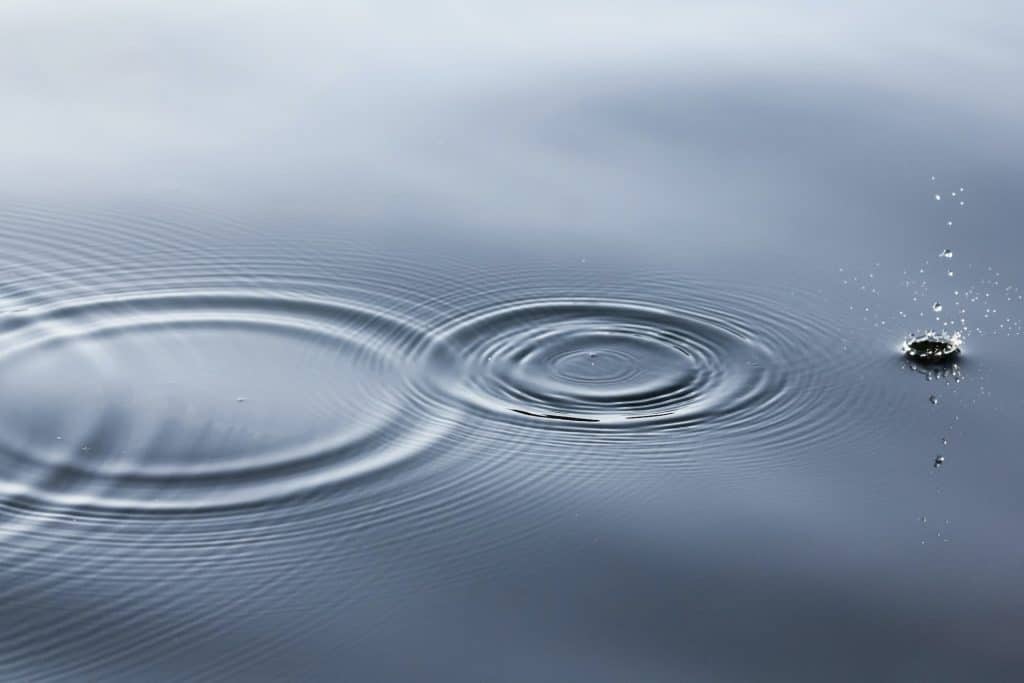 Ripple’s CTO confirms ‘never happening’ proposal as XRP momentum slides