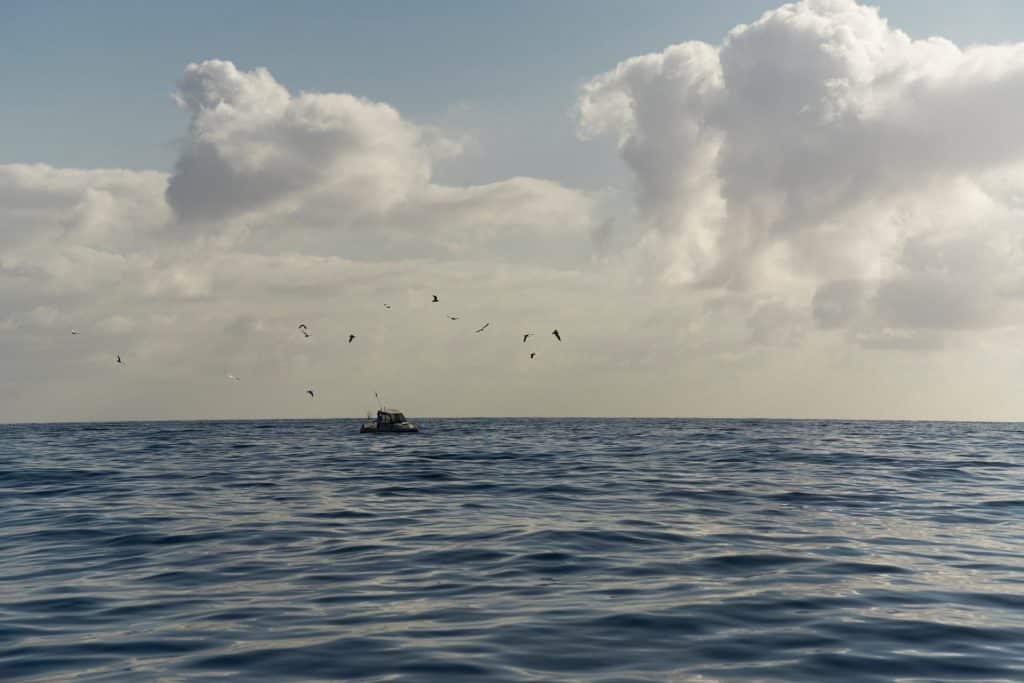 OpenSea faces rough waters as Blur storm shows no signs of abating