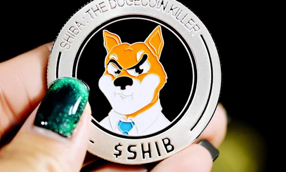 shib rank