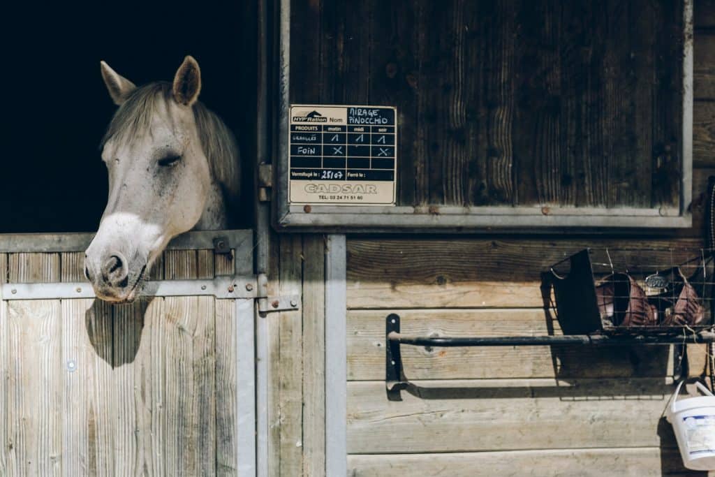 Stablecoins at their lowest market cap since 2021: Report