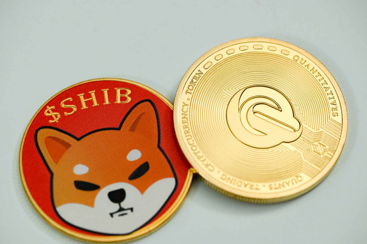 Shiba Inu's recovery faced difficulty - Where can investors look for gains?