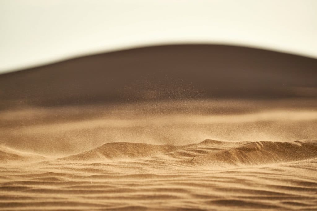 SAND whales get beached by a wave of sell pressure, but here's something new