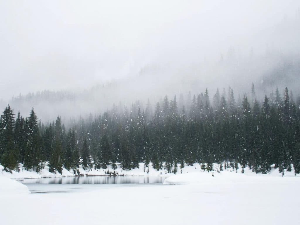 Avalanche: Revenue spikes, but AVAX investors must be cautious as...