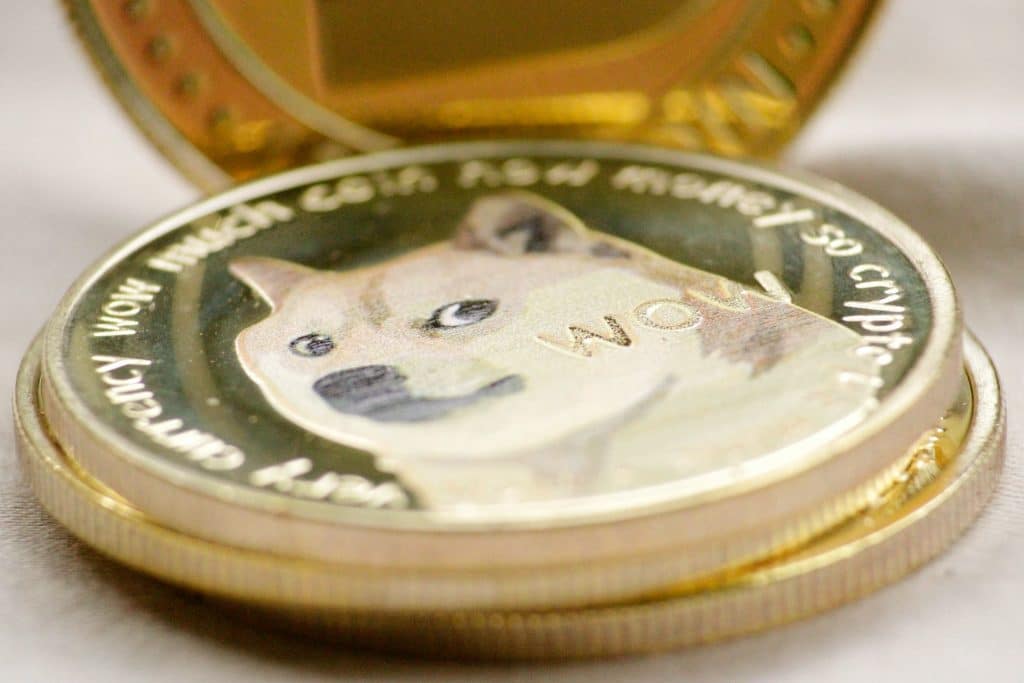 Dogecoin, Shiba Inu bleed as market braces itself for FTX-like scenario