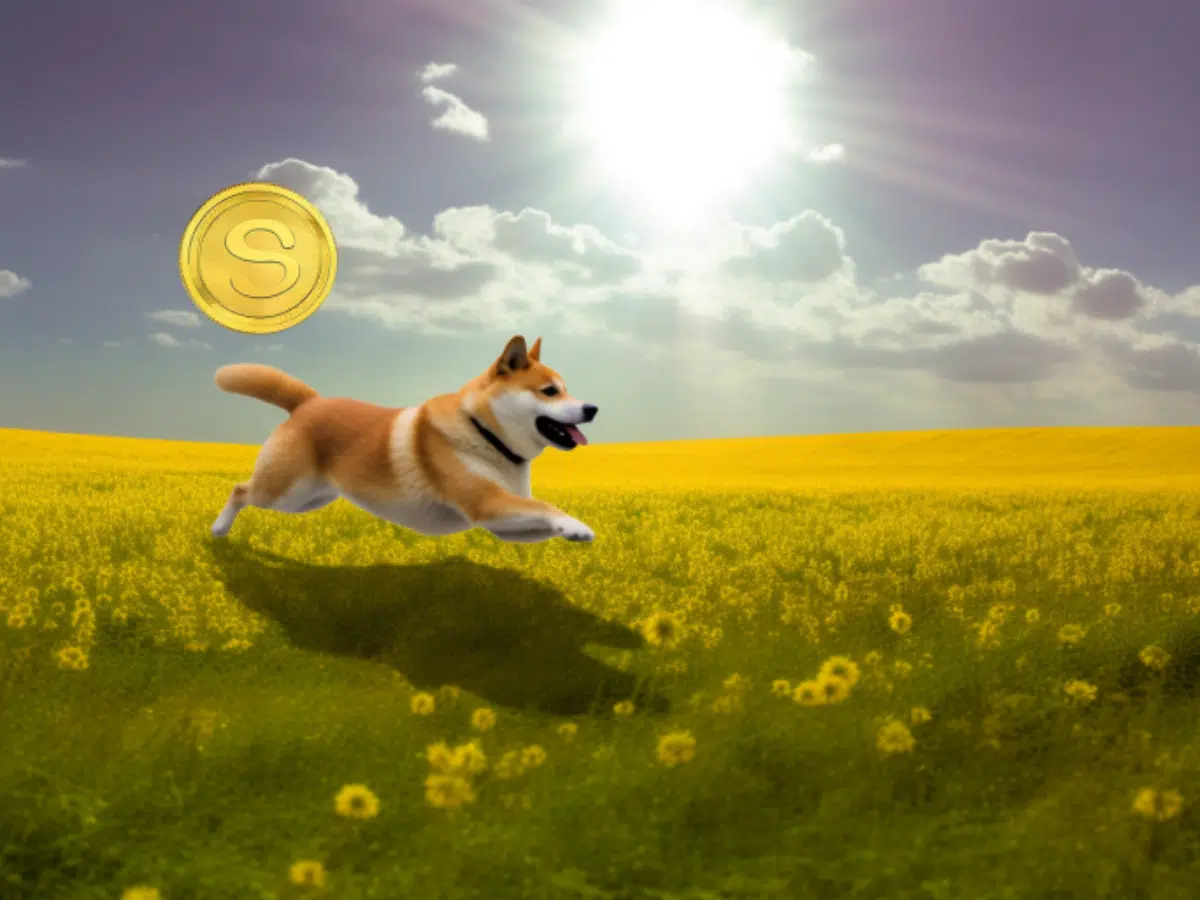 Dogecoin Foundation exec weighs in on 'safe' memecoin, SEC's crypto-regulations