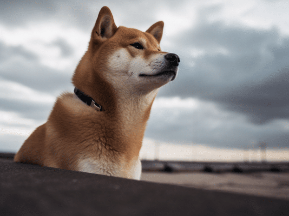Dogecoin consolidates below moving averages, what are chances of breakout