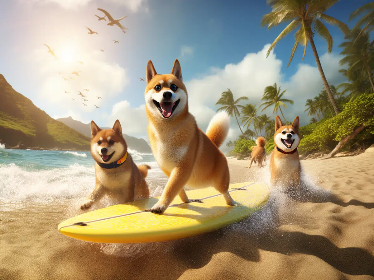 Reasons why Shiba Inu, Dogecoin are decoupling from the market 