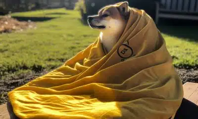 ChatGPT expects Dogecoin to surge 5x by the end of 2023ChatGPT expects Dogecoin to surge 5x by the end of 2023