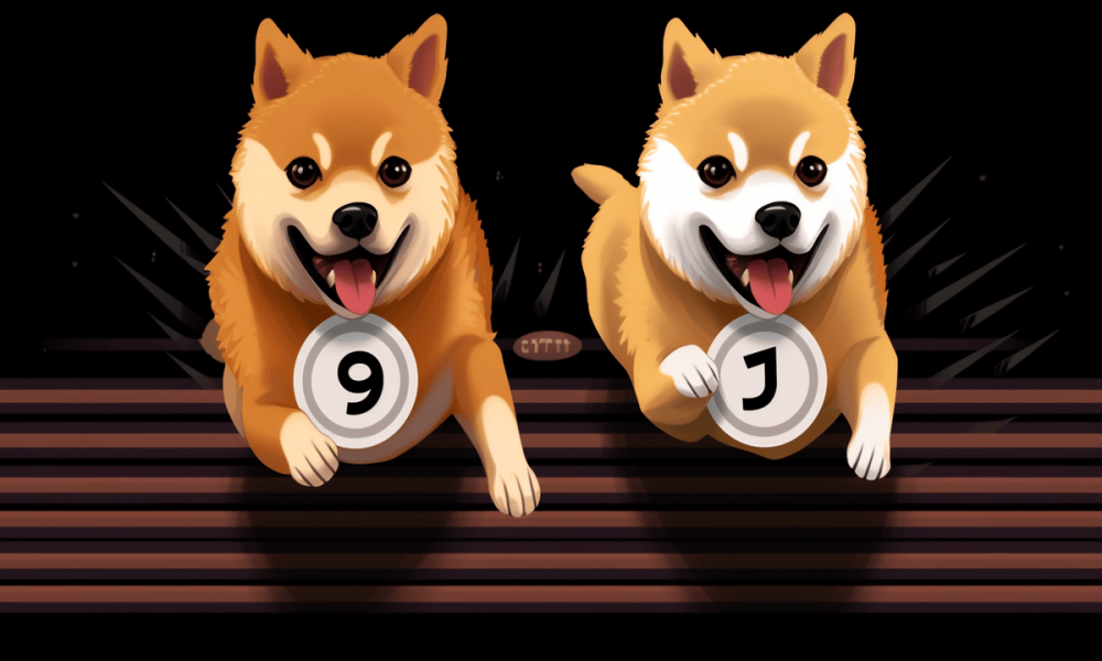 Shiba best sale inu playing