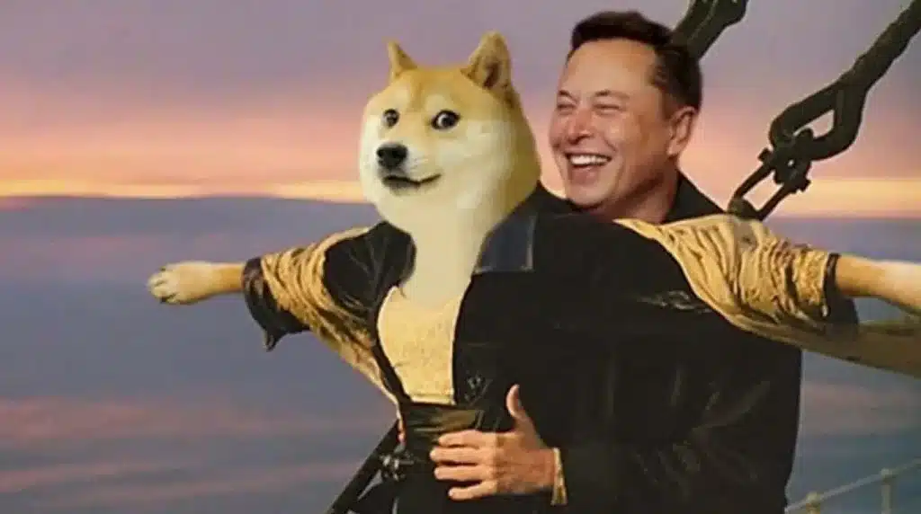 Elon Musk Dogecoin meme