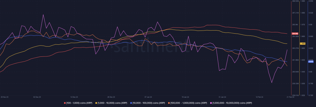 XRP whale holdings drop