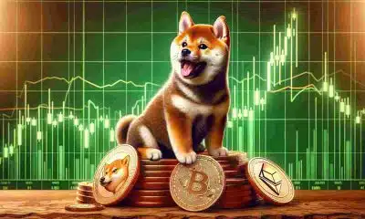 SHIB’s bull run might continue, but on this condition