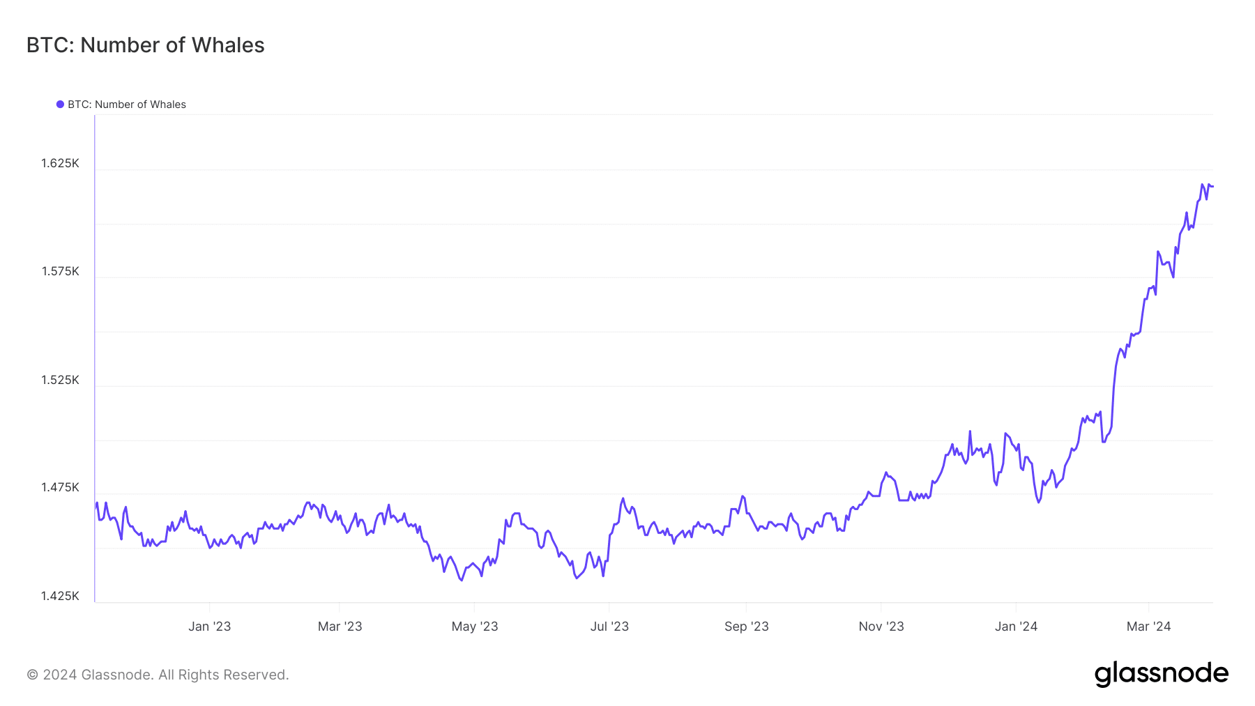 Bitcoin number of whales