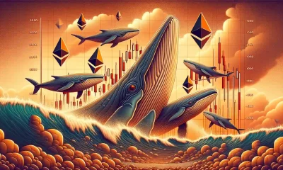 Ethereum whales stockpile despite price correction