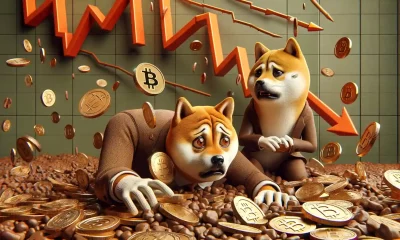 Is the memecoin season over? What SHIB, PEPE can tell you