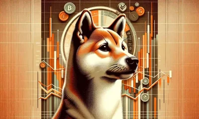 Shiba Inu bull market