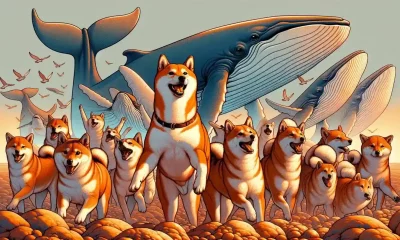 shiba-inu-memecoin-1536x878 -alpha