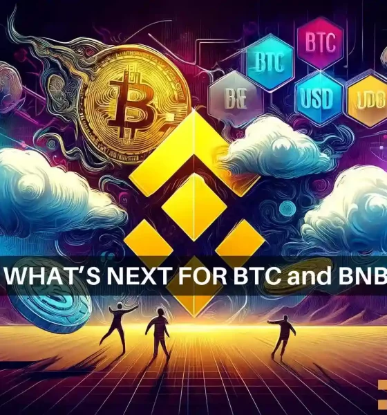 How Binance's latest moves will impact your BTC, BNB, USDC holdings