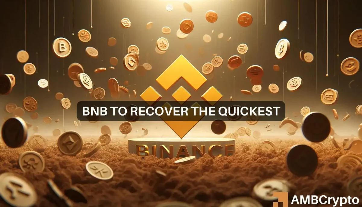 BNB 'beats' the market crash - Here's what you should know
