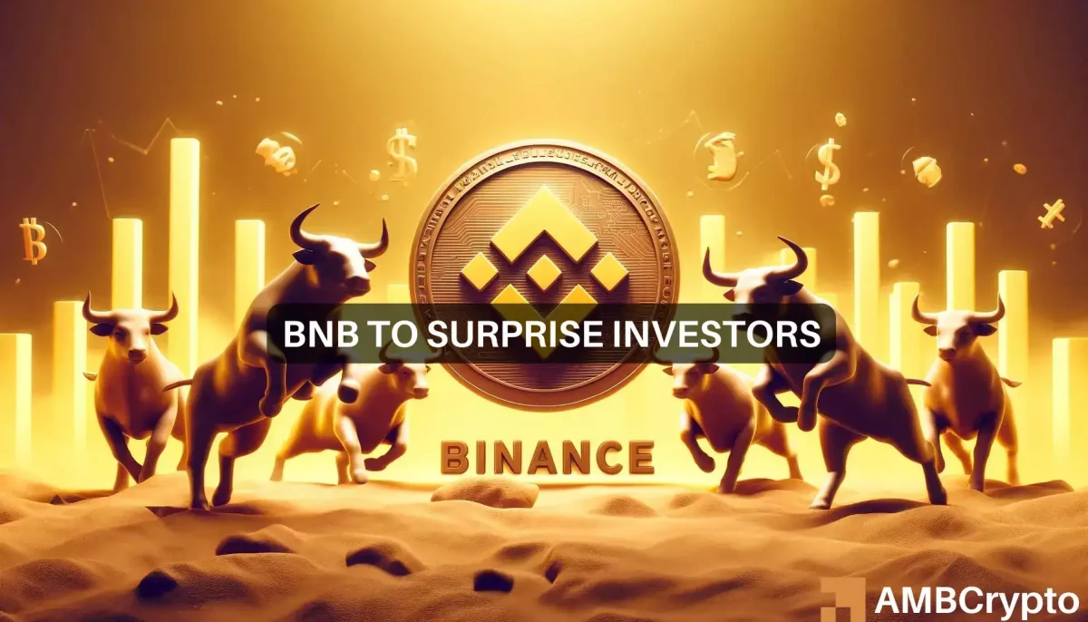 BNB to surprise investors