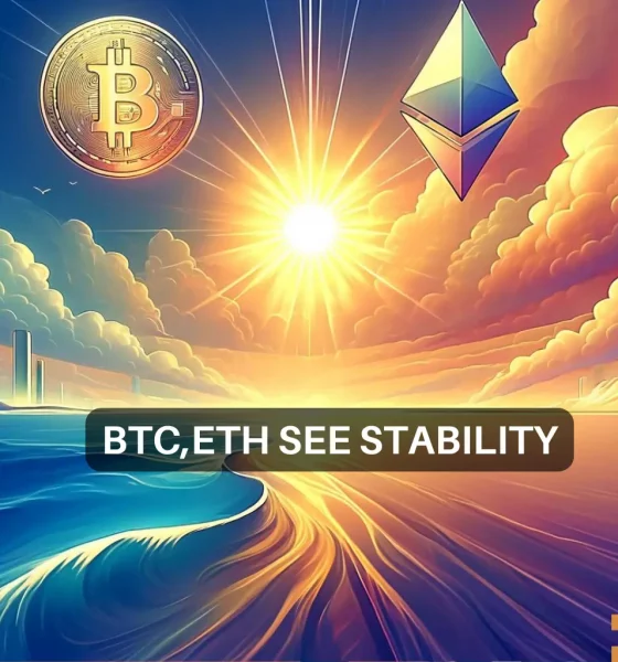Bitcoin Ethereum Volatility