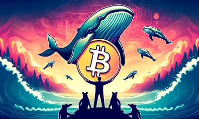 Bitcoin whale hold