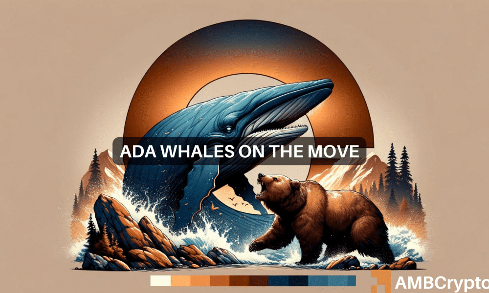 Cardano whales hoard $13B ADA daily amid 30% dip – A bull rally ahead?
