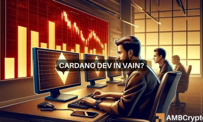 Cardano's price to fall by more than 13%? These signals will tell you...