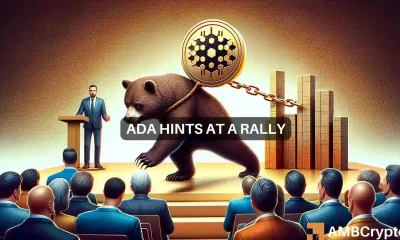 Ahead of Bitcoin halving, ADA may surprise you as well - Here's how