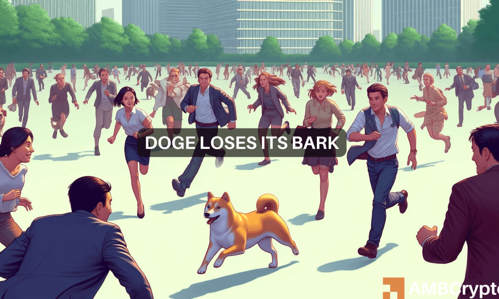 Dogecoin – Langetermijnhandelaren verloren $16 miljoen;  Dit is waar het je verlaat