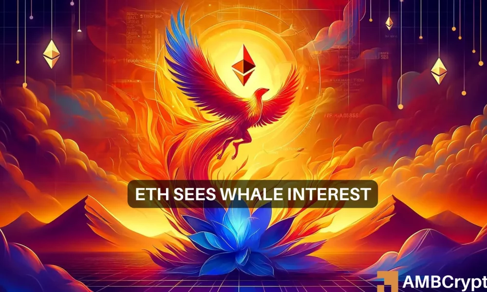 Ethereum whales dive in: Long-term recovery or short-term spike? - AMBCrypto News