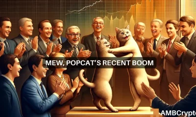 Solana-based MEW, POPCAT drop 11%: Cat memecoins end their rally?