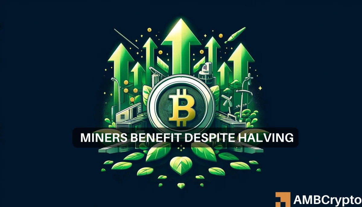 Runes helps Bitcoin miners in this manner post-halving