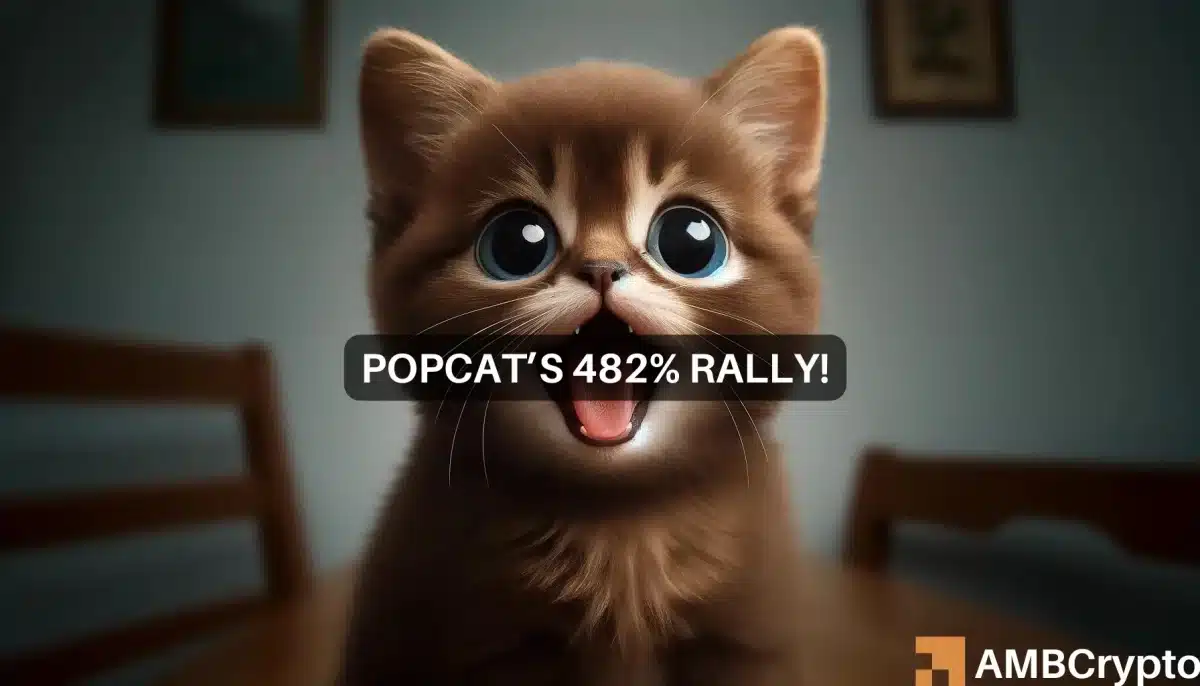 Popcat price prediction: After 482% boom in 10 days, is $0.66 on the way?