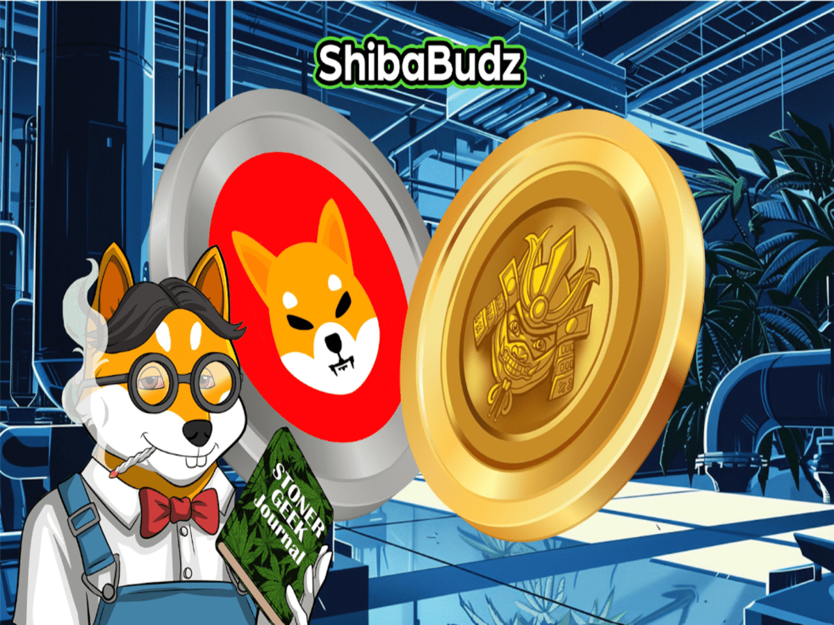 SHIB Mania with Shiba Inu & Shiba Budz, how to turn $250 to $2,500 in SHIB?