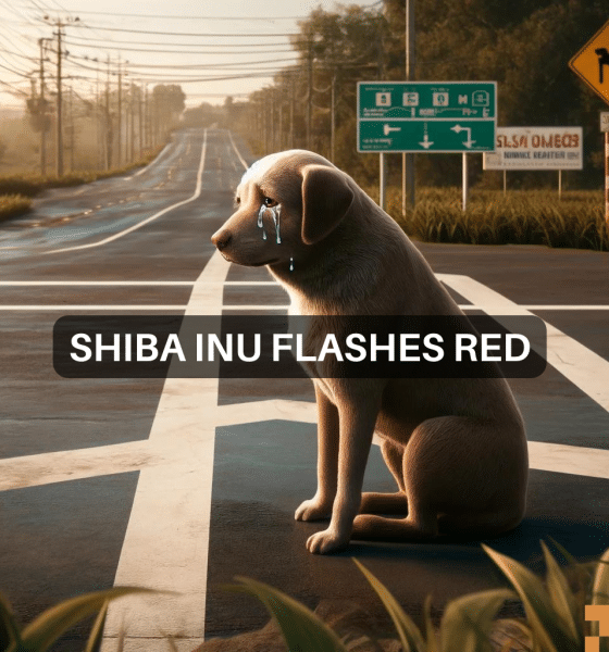Shiba Inu: Key indicator shows concerning signs, what now?