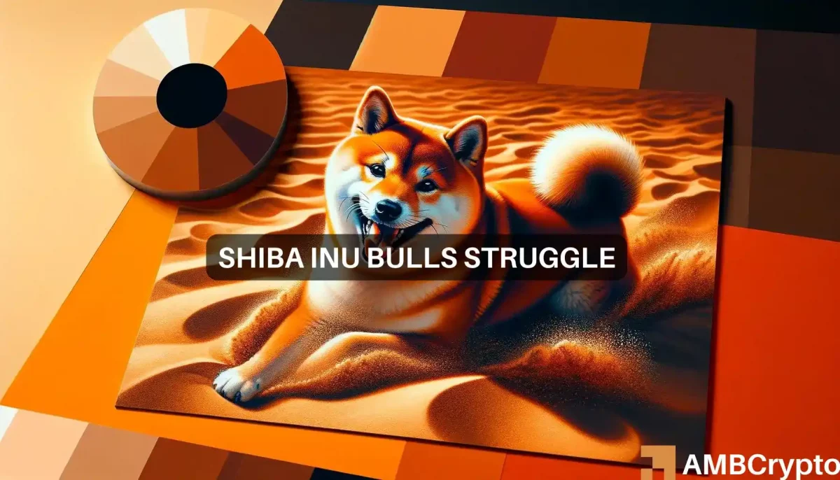 How Bitcoin impacted Shiba Inu's price, and what you can do about it