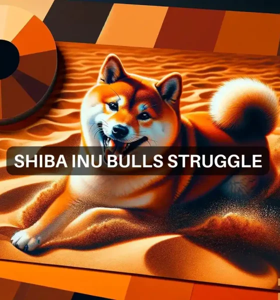 How Bitcoin impacted Shiba Inu's price, and what you can do about it
