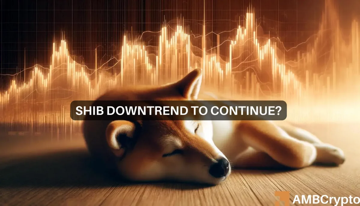 Shiba Inu: Should you get ready for an 18% price rise?